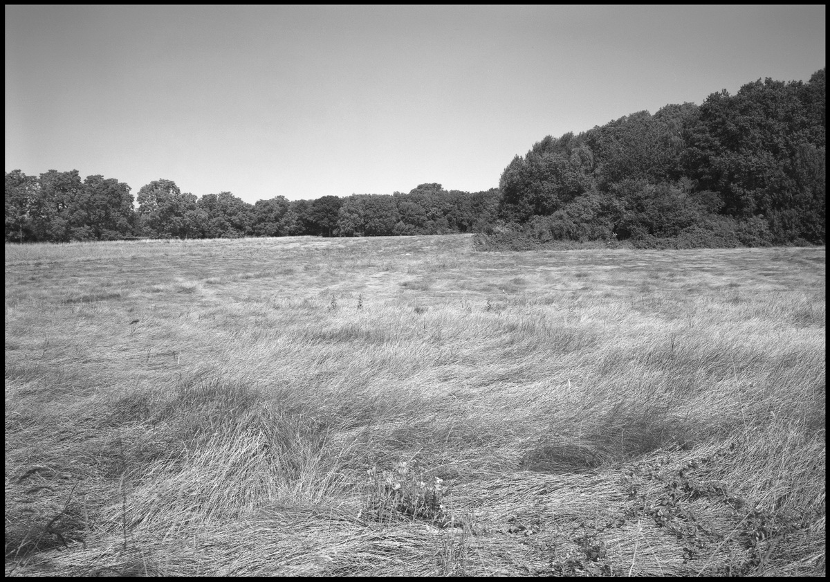 [Somme]