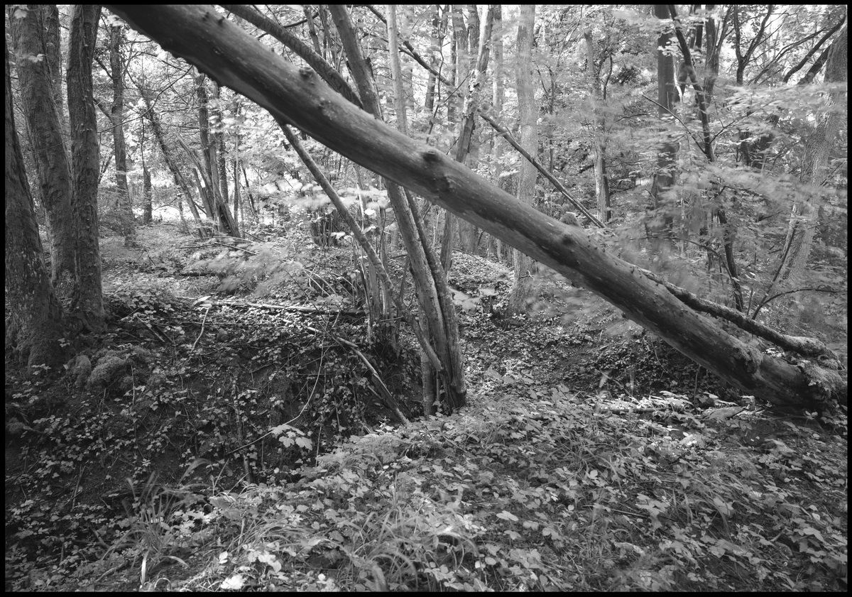 [Chemin des Dames]