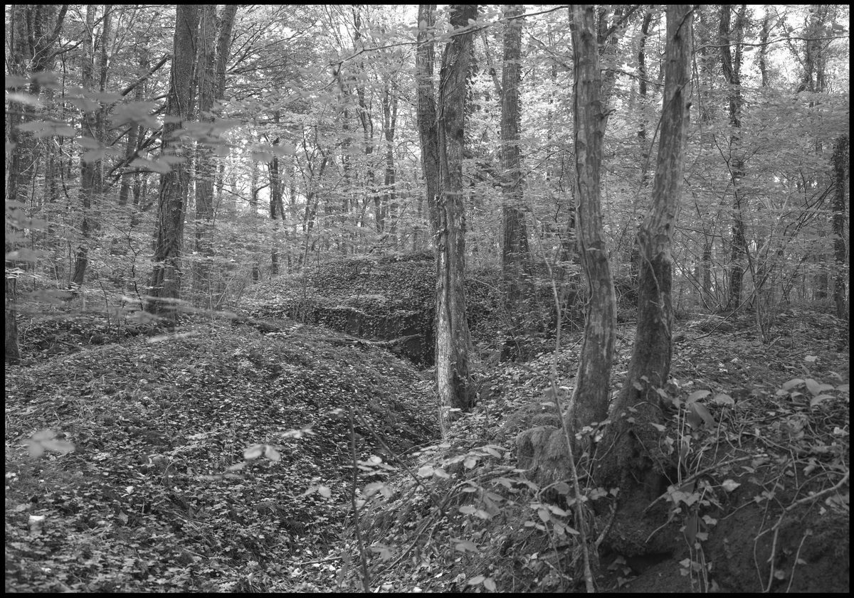 [Verdun]