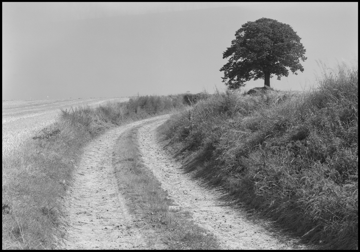 [Le Cateau]