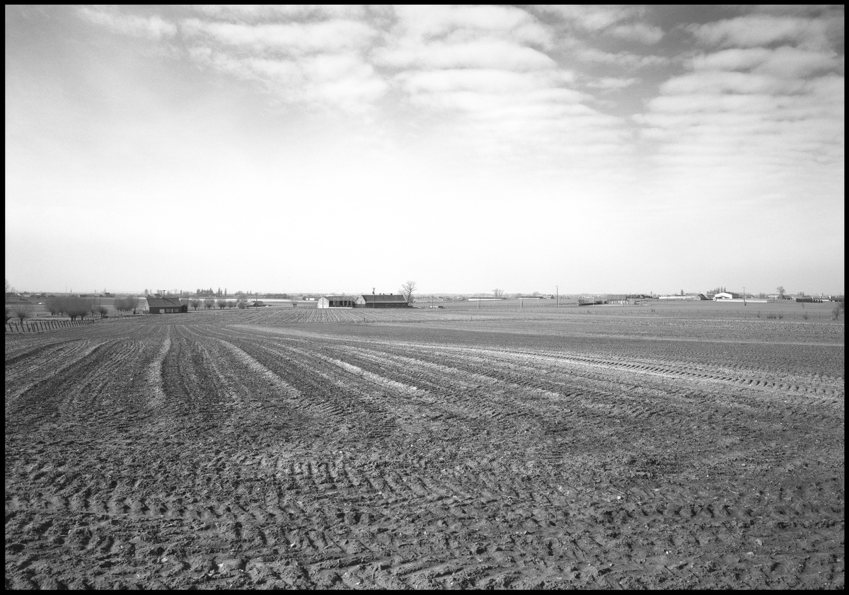 [Tyne Cot]