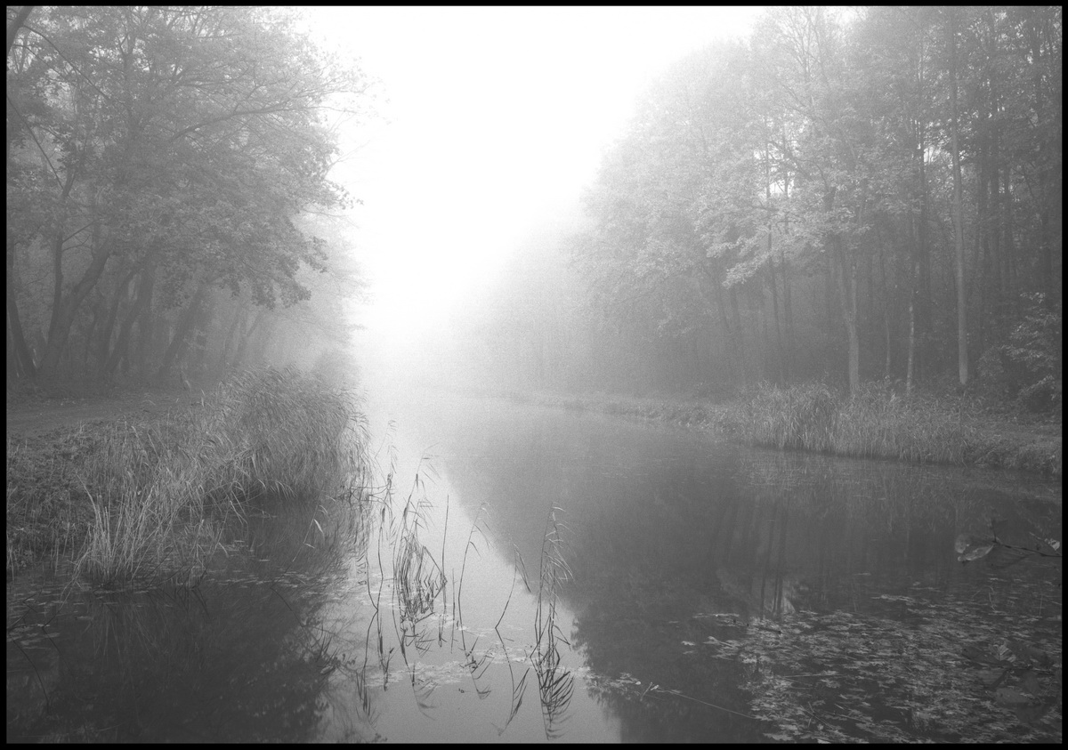 [Palingbeek]